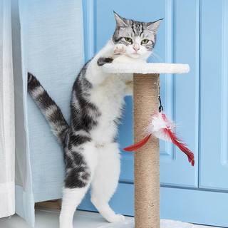 珍宠星球猫爬架猫抓柱猫树猫架子跳台剑麻抓板猫玩具猫咪磨爪用品