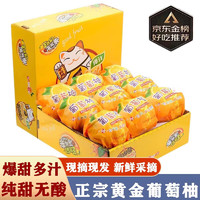 鲸咚亿农 黄金葡萄柚礼盒柚子新鲜水果生鲜 5斤 家庭装净重4.5斤