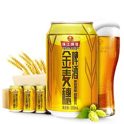 PEARL RIVER 珠江啤酒 10度 珠江金麦穗啤酒 330ml*24听 整箱装