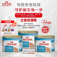 ROYAL CANIN 皇家 狗罐头主食奶糕欧洲进口狗狗湿狗粮195g*3罐