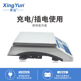 XingYun幸运精密电子台秤天平电子称实验室电子天平XY15MA（16kg/1g）