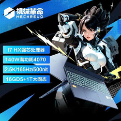 MECHREVO 机械革命 极光Pro i7-13650HX RTX4070 16英寸游戏本笔记本电脑 16+1T 2.5K 165hz 500nit