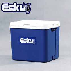 Esky 爱斯基 33L车载家用车用保温箱便携式商用冷藏箱户外冰桶保鲜箱附8冰袋