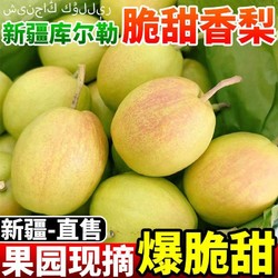 疆少侠 新疆库尔勒香梨口感脆甜4.5斤/箱