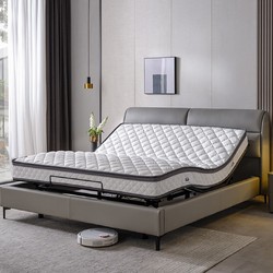 ZHIZAIJU 智在居 DAQ02010044 智能电动床+床垫 灰色 1.5m床