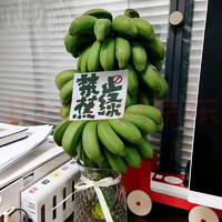 肴池 广东苹果香蕉小米蕉水培香蕉禁止焦虑试吃