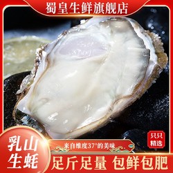 蜀皇 正宗乳山生蚝新鲜牡蛎带壳贝类海蛎子海鲜水产包邮