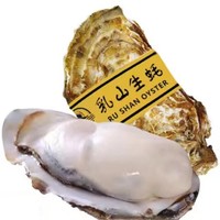 顺丰冷链 乳山生蚝 XXXL号 5.5斤装 鲜活牡蛎（带官方溯源防伪标识、死蚝包赔）