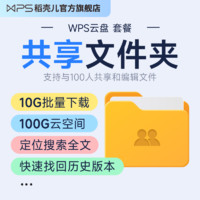 WPS云盘套餐31天云空间100G高速文件上传下载快速高效利器