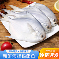 品八鲜 野生银鲳鱼 4条/斤*1