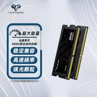 TOPMORE 达墨 奔月DDR5笔记本内存条16G 48G 4800频率大容量内存条