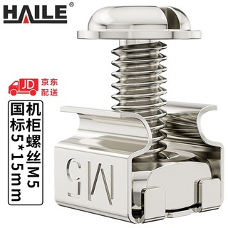 HAILE 海乐 机柜螺丝 LS-M5-40高品质机柜专用M5十字螺丝 40套/袋