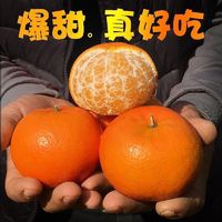 百亿补贴：橙上良品 正宗云南无籽沃柑5/9斤新鲜橘子桔子礼盒