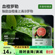 YANXUAN 网易严选 车载除醛固体香膏 150g（任选4件）