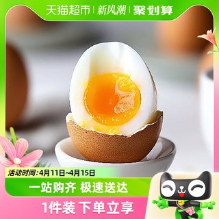 88VIP：晨诚 新鲜土鸡蛋正宗农家散养柴鸡蛋自养笨鸡蛋45g*10枚谷物草鸡蛋