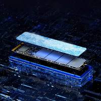 Lexar 雷克沙 NVMe高速固态硬盘SSD 256GB