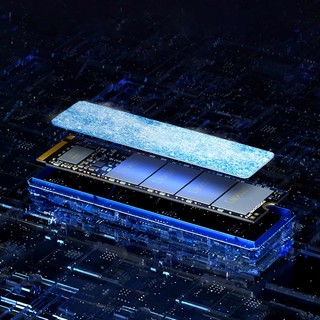 Lexar 雷克沙 NVMe高速固态硬盘SSD 256GB