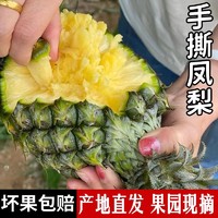 自然搭档 海南手撕凤梨新鲜香水非菠萝应季热带即食水果4.5斤整箱