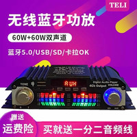 Starklok 大功率迷你小型功放机家用车载220v发烧hifi音响蓝牙插卡公放机 黑色 12v单用