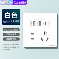 fdd 国际电工 双USB插座面板 五孔2.1A双USB+type-c