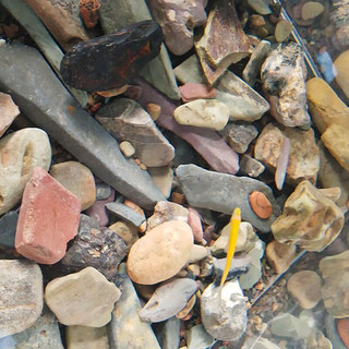 共度（Gong Du）水族箱鱼缸沙子彩色石子 水族箱造景彩沙  造景石底砂 溪流沙2.5KG（大粒约3-8cm）