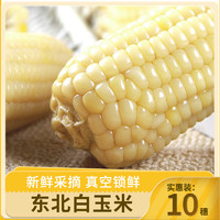 园侬鲜 鲜食糯玉米 2500g