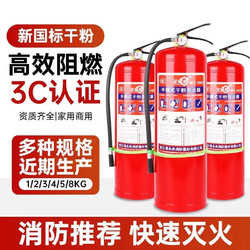 FlameFighter 火焰战士 手提式干粉灭火器4kg消防手提式家用车载灭火器2kg 干粉 2kg 新国标灭火器