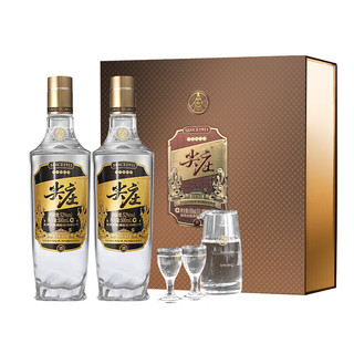 WULIANGYE 五粮液 尖庄高光 浓香型白酒礼盒 52度 500mL 2瓶 礼盒装