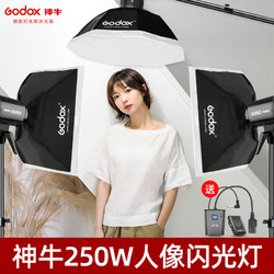 Godox 神牛 E250W摄影灯影室闪光灯影棚补光灯柔光工作室设备人像拍照