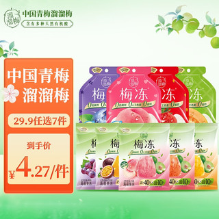 LIUM 溜溜梅 4味梅冻  120g乳酸菌+草莓蒟蒻果冻*1