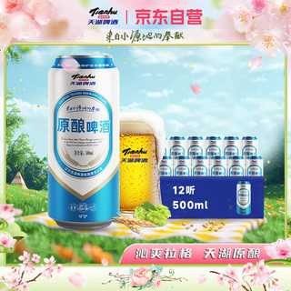 天湖天湖原酿啤酒 拉格工艺 9度黄啤 整箱500ml*12听来自水源地的奉献