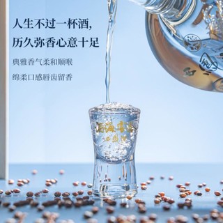 西鳯 西凤酒20年藏品52度凤香型纯粮高度白酒双支礼盒陕西特产