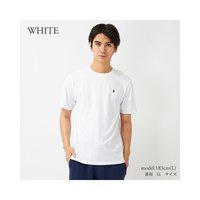 POLO RALPH LAUREN 男士T恤 832904 男童系列 选色 POLO