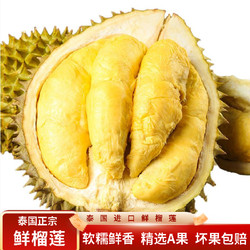 晨木鲜生 泰国新鲜进口金枕榴莲  (2-3斤)