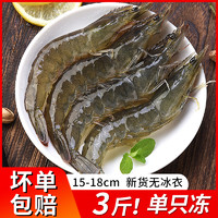 优全生鲜 大虾鲜活速冻基围虾超大冷冻海捕虾盐冻白对虾3斤（3040）