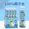 BANNARAINFOREST 版纳雨林 100%NFC椰子水400ml*12瓶补充电解质0添加果汁饮料整箱