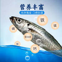粮讯 青占鱼青花鱼整条冷冻鲐鲅鱼青条鱼 2500克