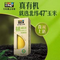 百亿补贴：北纬47° 北纬47度有机玉米整箱10只水果玉米白糯玉米开袋即食早餐代餐