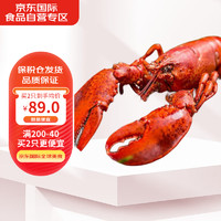 Henstar 加拿大熟冻波士顿龙虾400-450g/只 水产年货