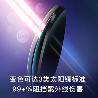 essilor 依视路 全视线变色镜片灰变定制片T8系列1.60折射率  依视路钻晶膜洁现片