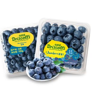 怡颗莓新鲜水果云南蓝莓125g*6盒中果酸甜口感国产