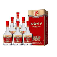 WULIANGYE 五粮液 52度浓香型白酒 500ml*2瓶