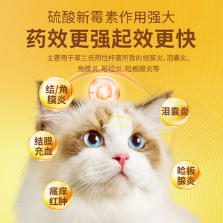 宠莱克宠物滴眼液猫鼻支硫酸新霉素猫咪狗狗眼药水结膜炎角膜炎眼睛流眼泪消炎抗菌止痒泪痕洗眼水幼猫幼犬 眼部炎症 硫酸新霉素滴眼液