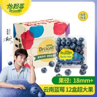 怡颗莓 Driscoll's云南蓝莓Jumbo超大果18mm+ 原箱12盒礼盒装 125g/盒