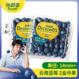 怡颗莓 Driscoll's  当季云南蓝莓14mm+ 2盒装 125g/盒 新鲜水果