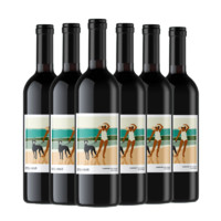 2022年度Best Buy：Stel + Mar斯特尔马 美国加州中央山谷 精品赤霞珠干红葡萄酒 2020年 750ml*6瓶 六支装