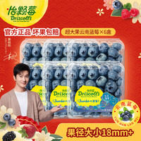怡颗莓【精品优选】当季云南蓝莓 国产蓝莓 新鲜水果 Jumbo超大125g*6盒