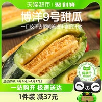 喵满分 山东潍坊博洋9号甜瓜2颗装单果300g+整箱包邮