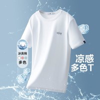 海澜之家 男士短袖T恤 HNTBJ2Y050A50