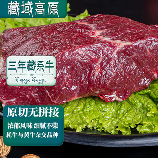 卡拉达 高海拔慢养三年藏牛藏牛里脊肉400g*2 小炒牛肉  源头直发